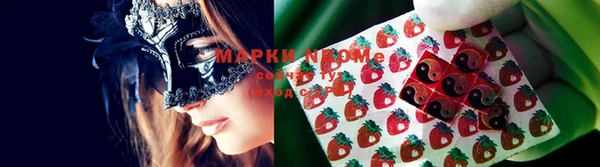 прущая мука Инта