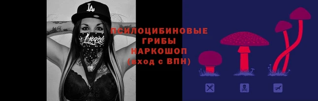 прущая мука Инта