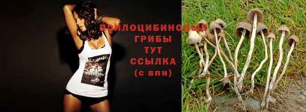 МДПВ Иннополис
