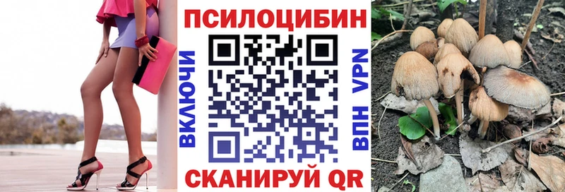 Псилоцибиновые грибы мицелий  Купить  Россошь 