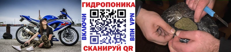 Купить закладки  Россошь  Бошки Шишки THC 21% 